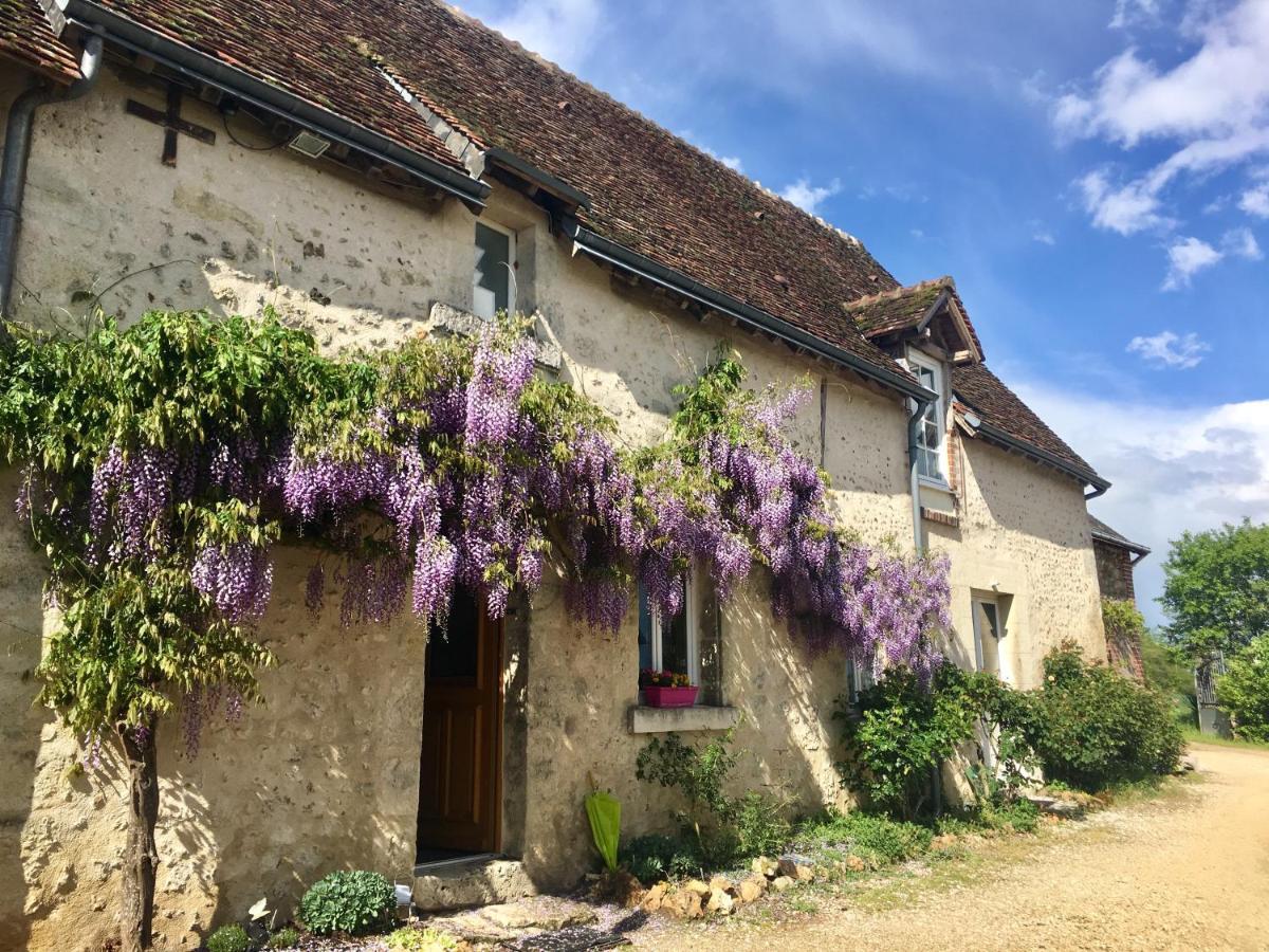 Le Grand Coudreau Bed & Breakfast Nazelles-Negron Exterior photo